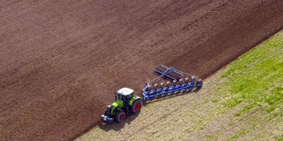Ein Landwirt pflügt ein abgeerntetes Feld in Mecklenburg. Foto: Jens Büttner/dpa-Zentralbild/dpa