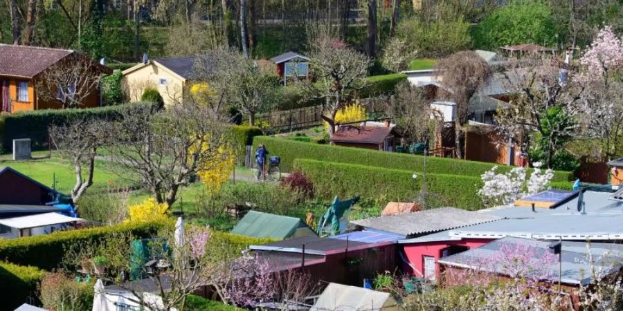 Ein Teil der Kleingartenanlage an der Nuthe. Seit Beginn der Corona-Pandemie scheinen jedoch einige den Schrebergarten neu für sich zu entdecken. Foto: Soeren Stache/dpa-Zentralbild/dpa