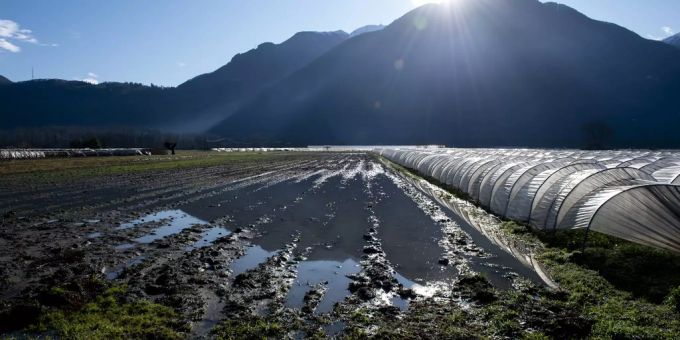 Das schlechte Wetter der letzten Wochen hat Einfluss auf die Schweizer Gemüse-Produktion. Unwetter