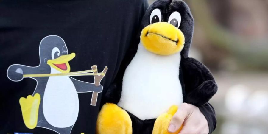 Ein Linux-Maskottchen, der Pinguin Tux. Foto: Jan Woitas/dpa-Zentralbild/dpa