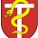 Avatar von Gemeinde Lachen