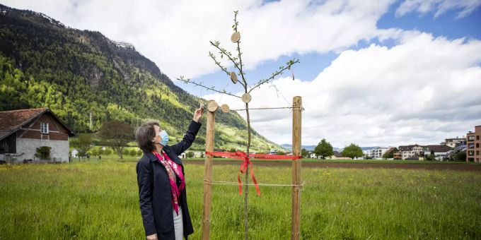 Bundesrätin Simonetta Sommaruga steht neben dem Schwyzer Rütlibaum, anlässlich der Eröffnung der Baumallee in Arth am Samstag, 22. Mai 2021. Allee Arth SZ