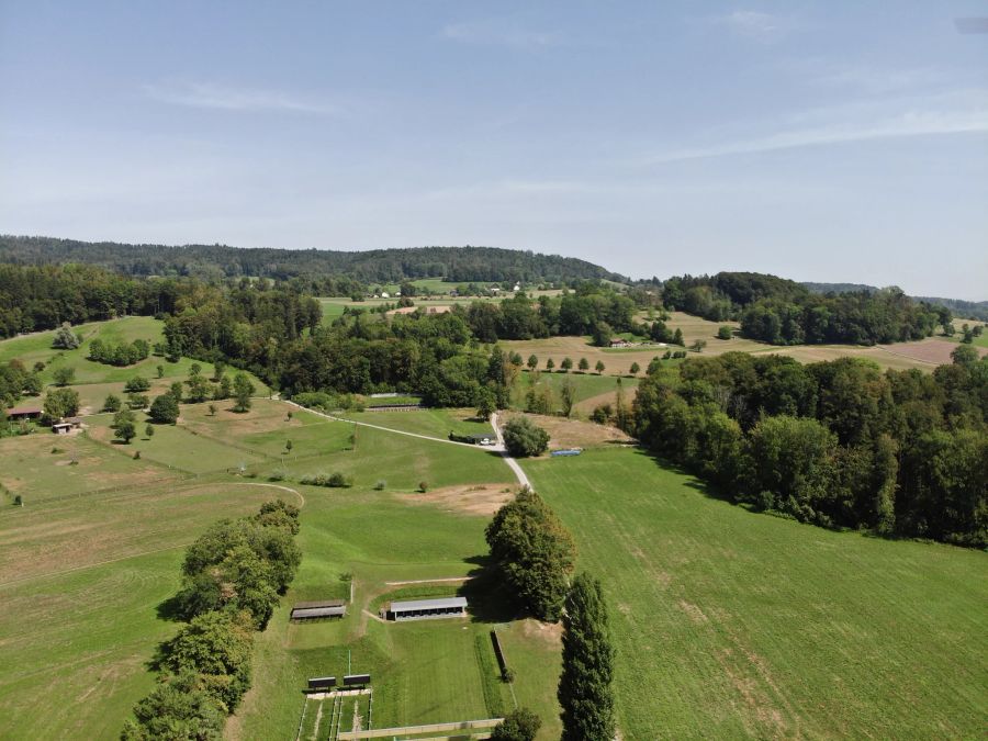 Hier liegen die Temperaturen des Bodens zwischen 21 und 54 Grad.