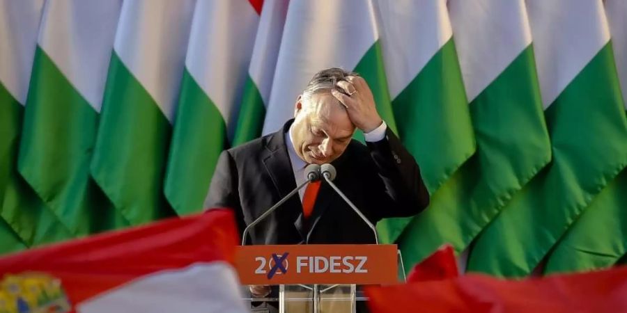 fidesz evp