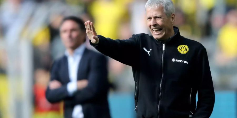 BVB Lucien Favre