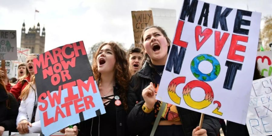 Schüler protestieren - Wissenschaftler fordern CO2-Preis