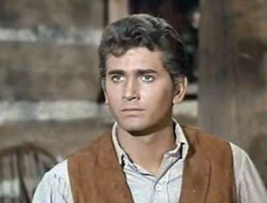 michael landon