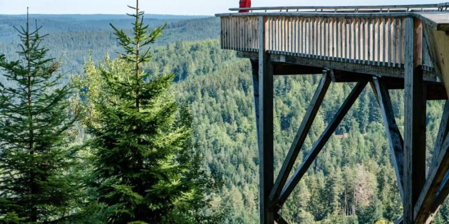 Hauptkommissarin Maris Bächle (Jessica Schwarz) auf einer Plattform im Schwarzwald. Foto: Maor Waisburd/ZDF