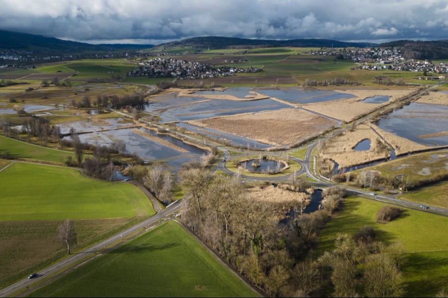 Flachmoorgebiet Neeracherried Biodiversitätsinitiative