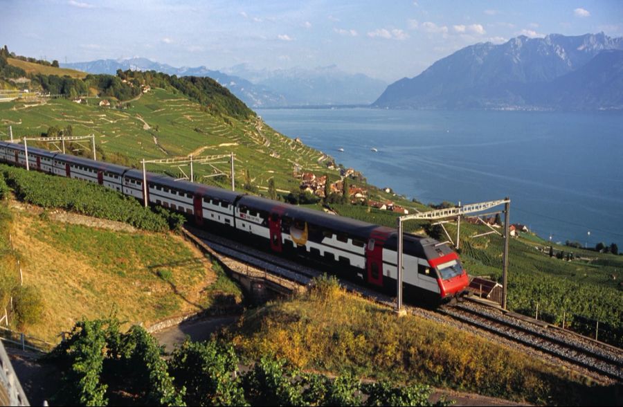 Die SBB mähen entlang ihrer Gleise nur noch in sicherheitsrelevanten Zonen.