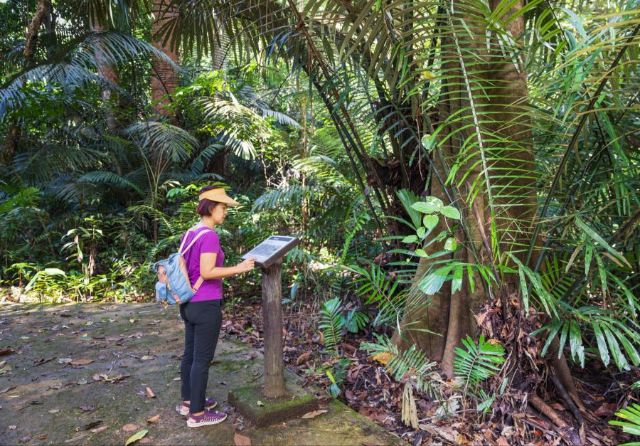 Frau liest im Urwald ein Schild