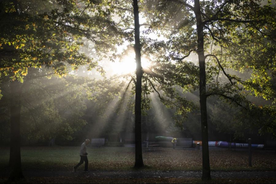 Zum Beginn der neuen Woche dürfte sich die Sonne häufig durch den Nebel kämpfen.