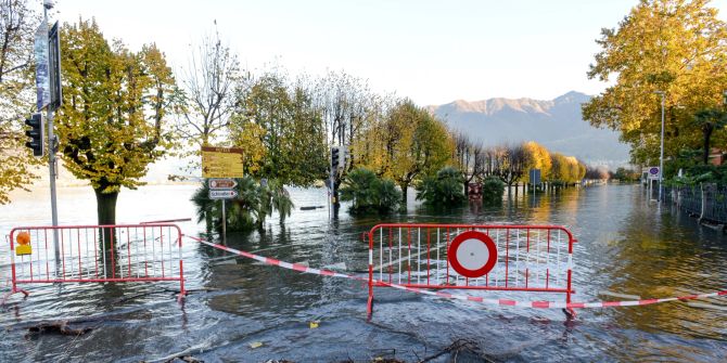 Hochwasser Sperre Bäume See