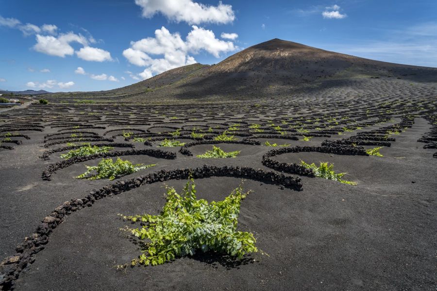 Die vulkanischen Landschaften beispielsweise ziehen jedes Jahr zahlreiche Touristinnen und Touristen auf die Insel.