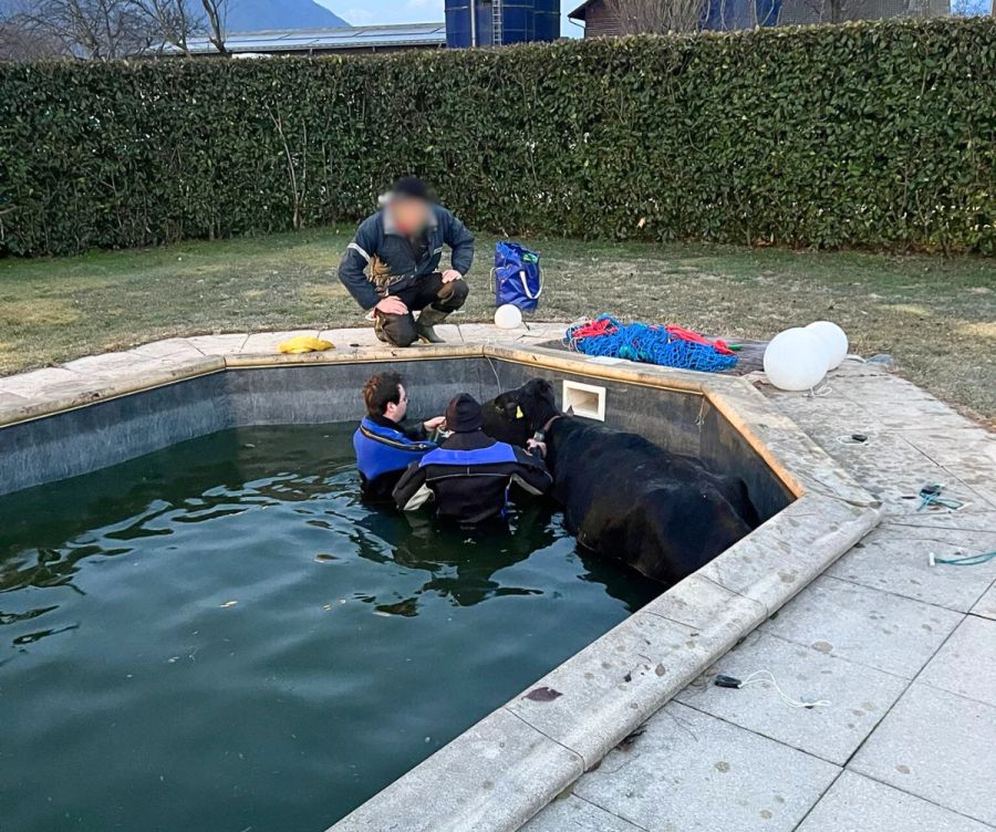 Das Rettungsteam zeigt vollen Einsatz.