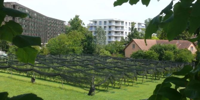Wohnungen Baselland