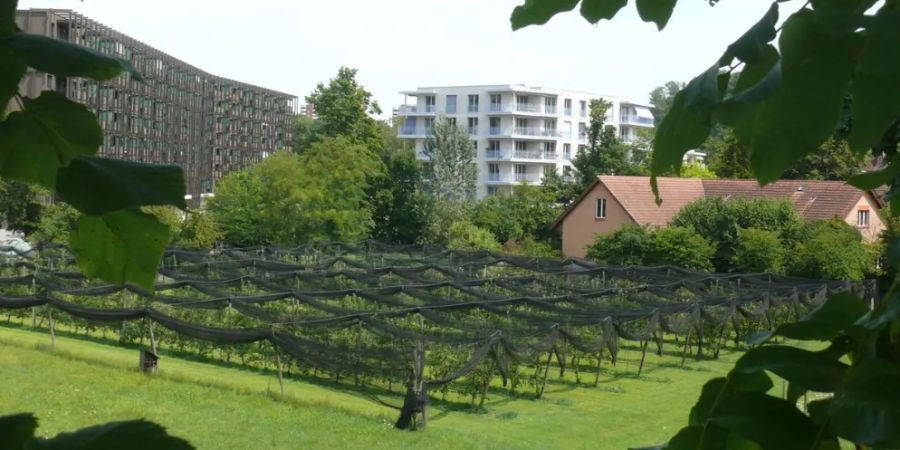 Wohnungen Baselland