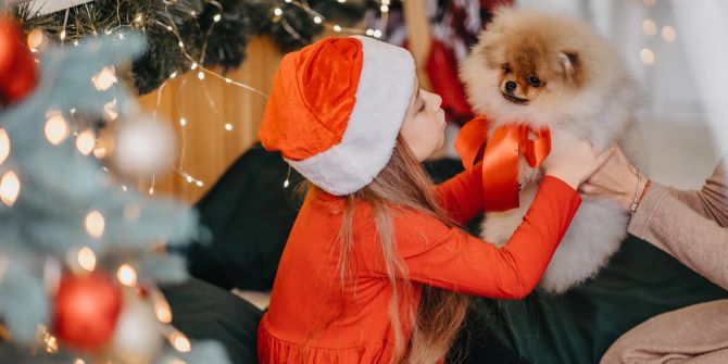Haustier zu weihnachten verschenken