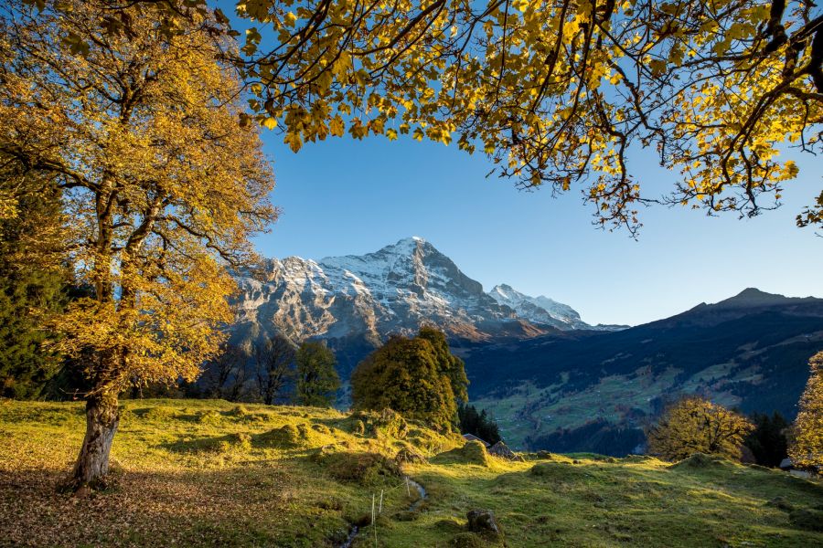 Grindelwald Indian Summer