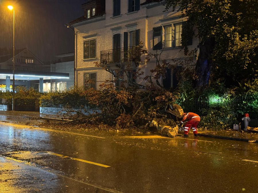 In Küsnacht ZH fiel beim Gewitter ein Baum auf ein Haus.