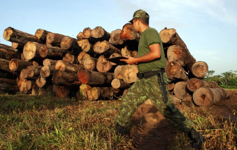 Zwischen August 2024 und Juli 2025 sei eine Fläche von 5796 Quadratkilometern des Amazonas-Regenwalds zerstört worden. (Archivbild)