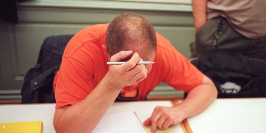 Erwachsene mit Schutzstatus S können im Kanton Luzern neu von Bildungsgutscheinen profitieren. (Archivaufnahme)