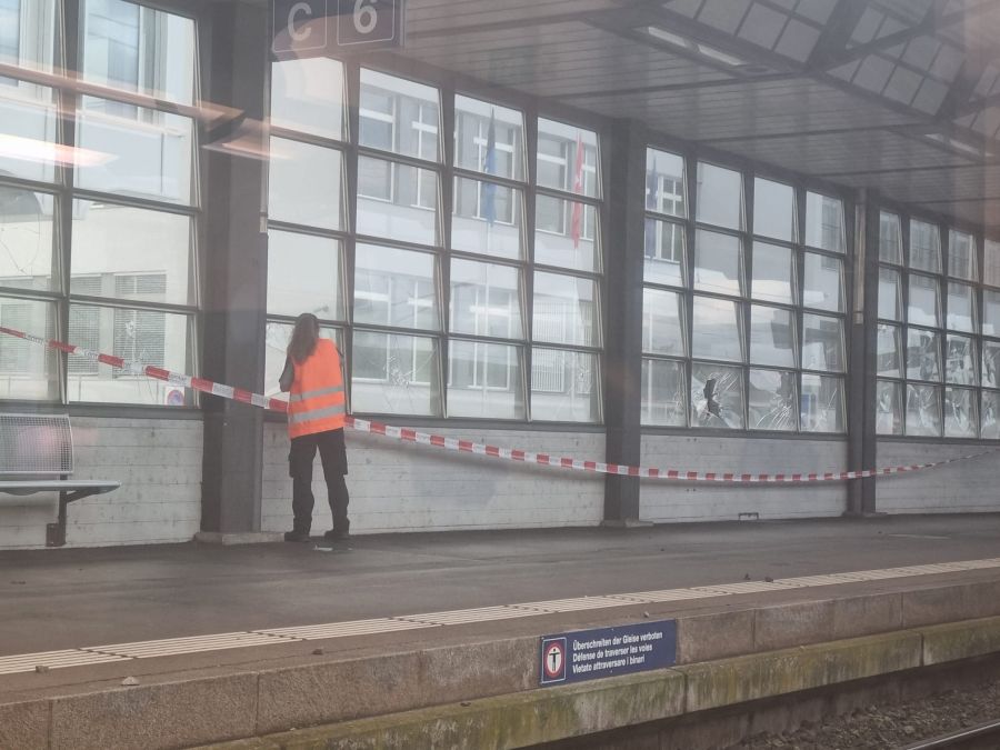 Ein Polizist wird bei Fan-Attacken verletzt.