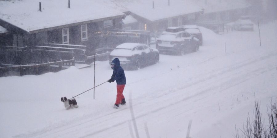 Eine Person geht mit ihrem Hund spazieren, während der Sturm Johannes über Nordschweden hinwegzieht. Foto: Pontus Lundahl/TT News Agency/AP/dpa