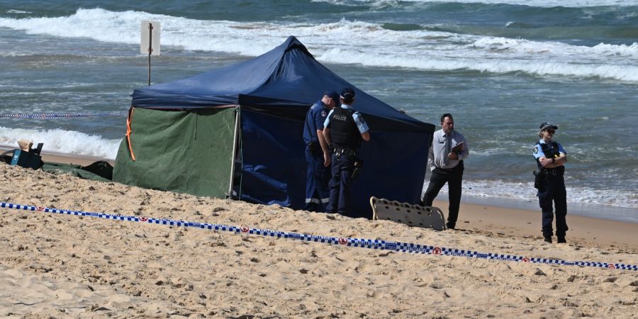 Fatal shark attack