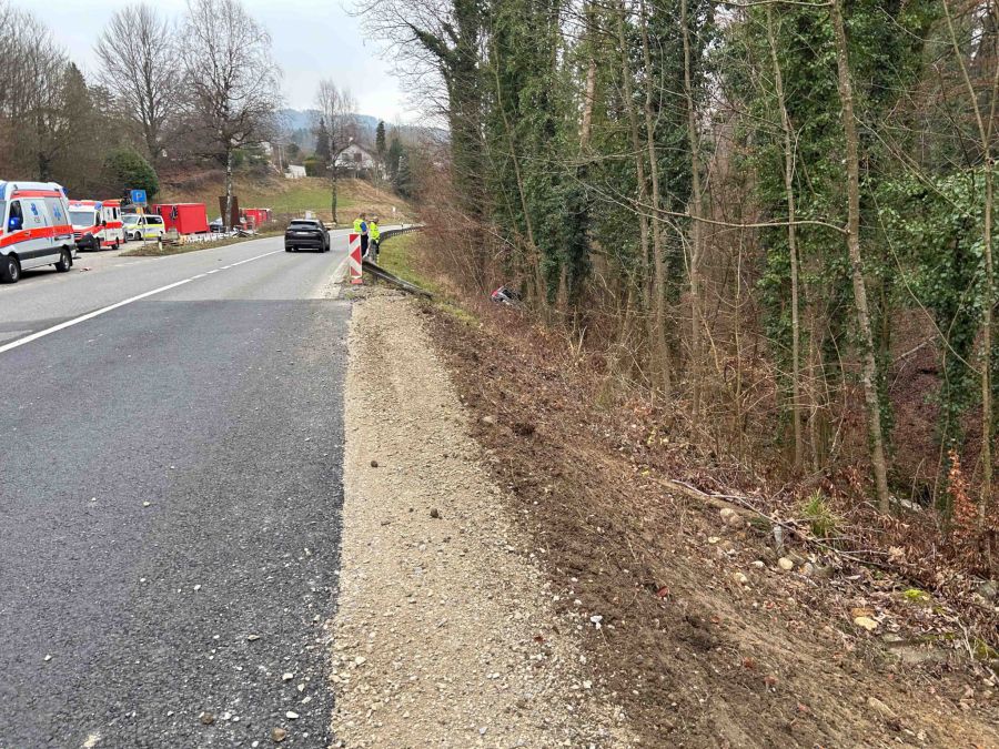 Die Fahrerin kam nach eigenen Angaben von der Strasse ab, nachdem sie niesen musste.
