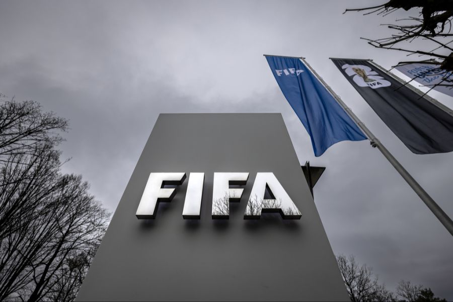 FIFA Fussball