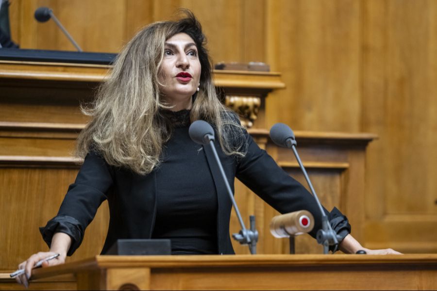 Sibel Arslan Grüne