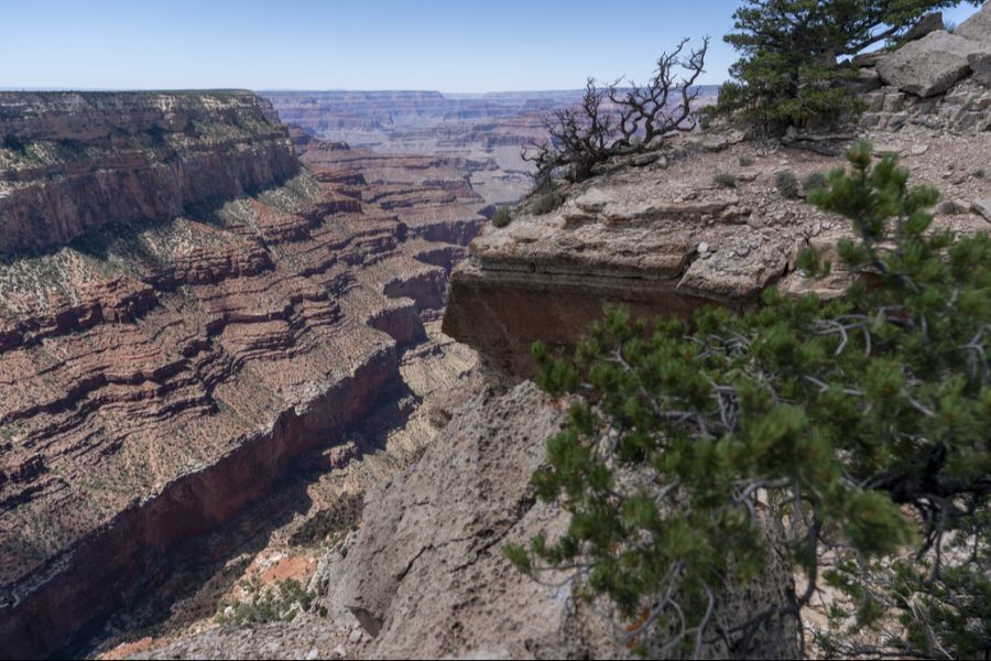 Wer den Grand Canyon sehen will, muss erst das Einreiseprozedere erfolgreich hinter sich bringen.