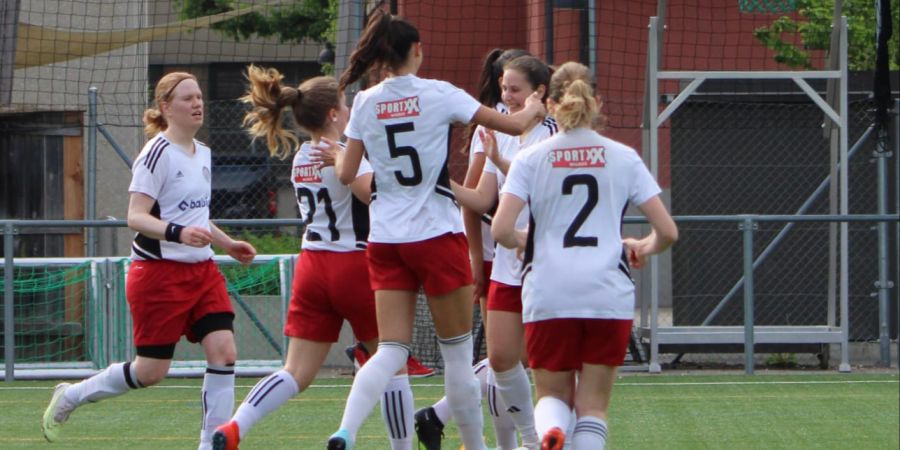 fc breitenrain