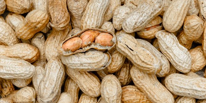 Erdnüsse