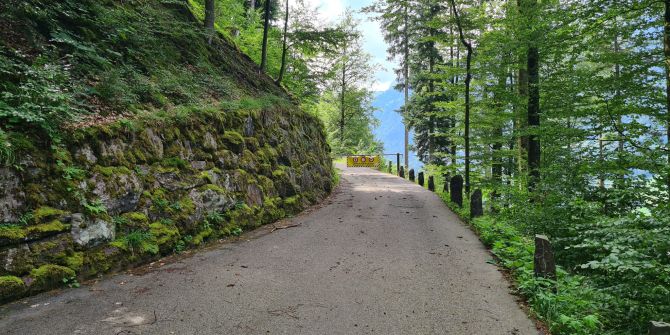 Verbindungsstrasse ins Niderental