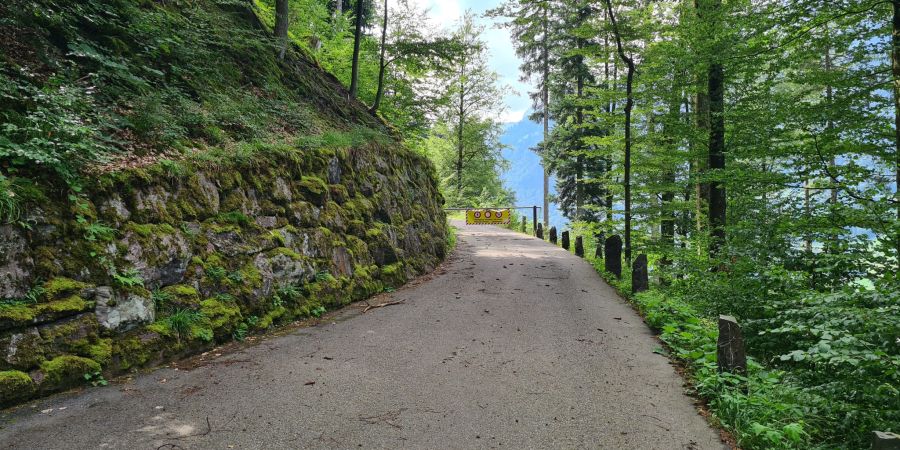 Verbindungsstrasse ins Niderental