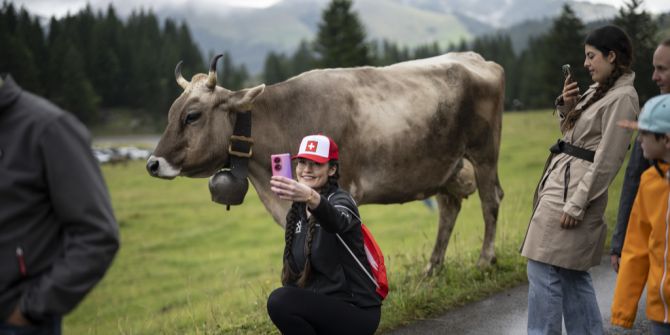 Tourismus Schweiz Selfie Kuh