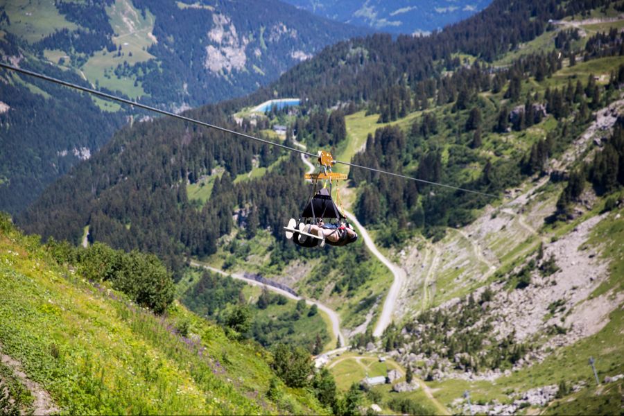 Zipline