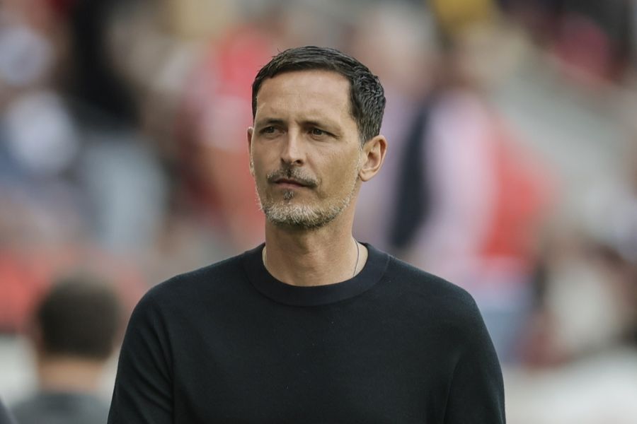Dino Toppmöller