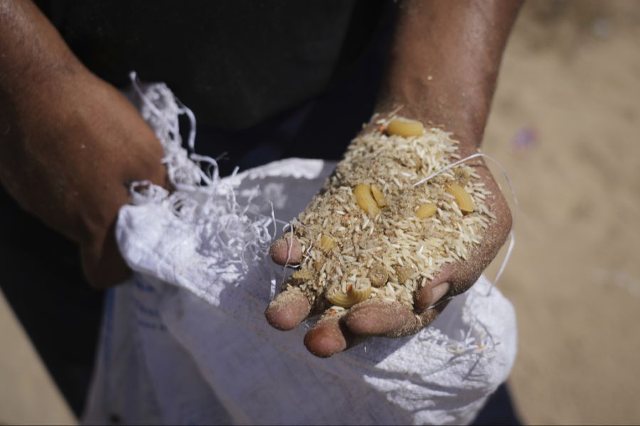 gaza