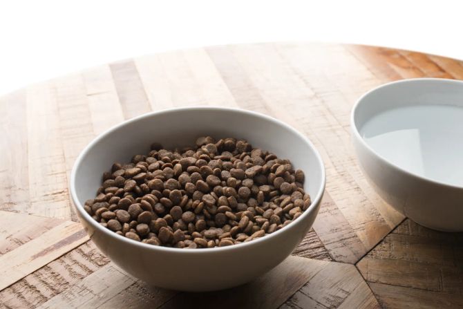 katze trockenfutter