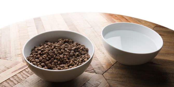 katze trockenfutter
