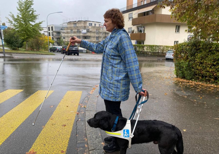 Blindenführerhund Solo hilft Brigitte Bächtold, sich im hektischen Zürcher Strassenverkehr zurechtzufinden.
