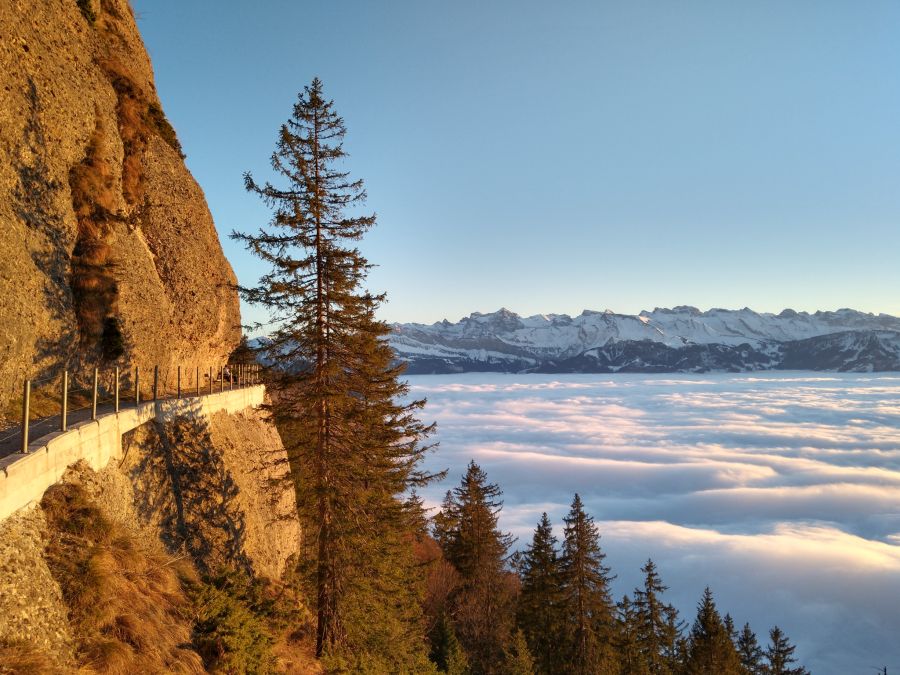 Rigi Nebel Felsenweg