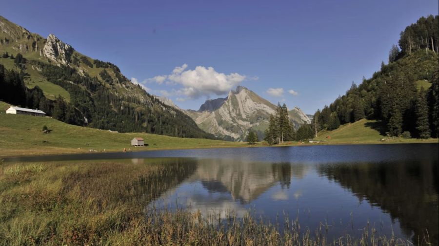 Gräppelensee Toggenburg Bergsee