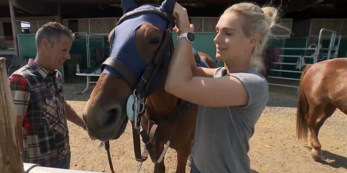 Annette Fetscherin hat sich beim Reiten den Arm gebrochen. Reicht die Zeit, um ins EM-Studio zurückzukehren? (Archivbild) SRF Annette Fetscherin