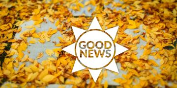 Relead Paper Laub