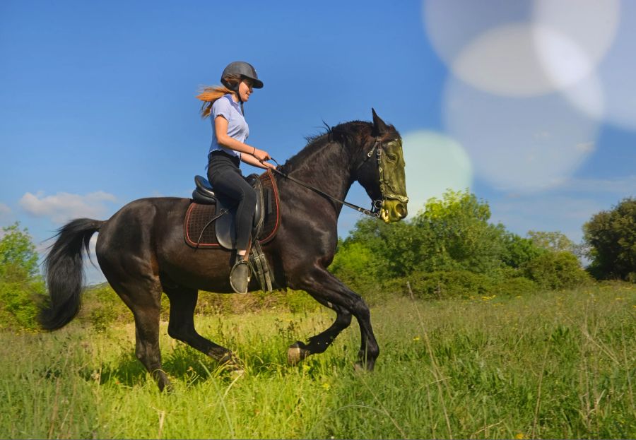 Pferd, Frau, Reiten