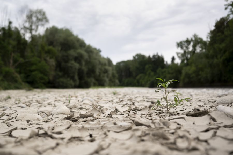 Nicht nur der Klimawandel ist schuld an den Bränden in der Arktis.